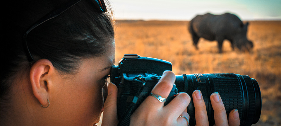 honeymoondesigner-online-reiseberatung-safari-nashorn honeymoondesigner Hochzeitsreisen Safari Nashorn